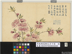 清钱维城绘花卉（下）　册　碧桃,绘画,花草