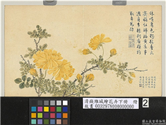 清钱维城绘花卉（下）　册　黄刺蘼,绘画,花草