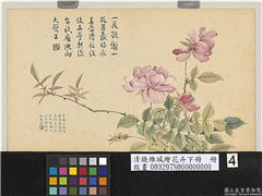 清钱维城绘花卉（下）　册　长春,绘画,花草