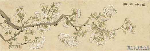清刘权之画花卉　册　瀛州玉雨,绘画,花草