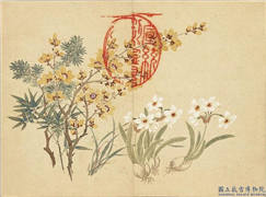 清董诰画韶景旉芳　册　梅竹水仙,绘画,树木,花草