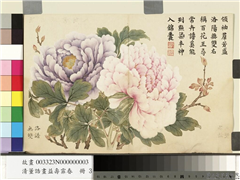 清董诰画益寿霏香　册　洛谱无双,绘画,花草