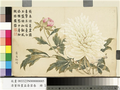 清董诰画益寿霏香　册　画省翻阶,绘画,花草