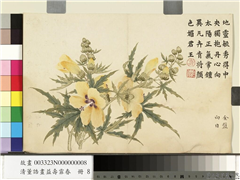 清董诰画益寿霏香　册　金盘向日,绘画,花草