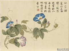 清董诰画芳敷绮序　册　牵牛花,绘画,花草
