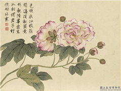 清董诰画芳敷绮序　册　芙蓉,绘画,花草