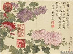 清董诰画芳敷绮序　册　菊花,绘画,花草