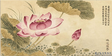 清董诰画绮序舒芳　册　珠池擢秀,绘画,花草