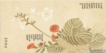 清董诰画绮序舒芳　册　砌阴攒玉,绘画,花草