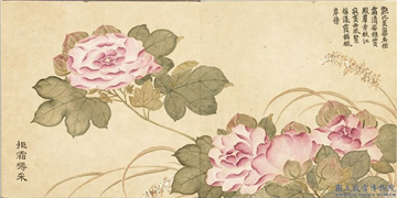 清董诰画绮序舒芳　册　拒霜缛采,绘画,花草