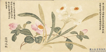清董诰画绮序舒芳　册　霞缬冰蕤,绘画,花草