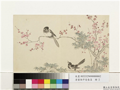 清董诰平安春喜　册　梅竹双鹊,绘画,花草,树木,翎毛