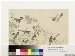 清董诰平安春喜　册　梅竹群鹊,绘画,翎毛,花草,树木