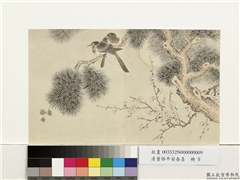 清董诰平安春喜　册　喜鹊栖松,绘画,山水,翎毛,树木,花草