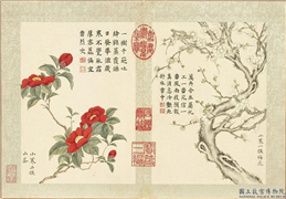 清董诰画二十四番花信风图　册　小寒一候梅花,绘画,花草