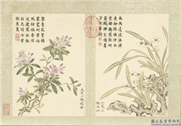 清董诰画二十四番花信风图　册　小寒三候水仙,绘画,花草,山水