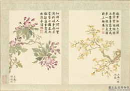 清董诰画二十四番花信风图　册　立春一候迎春,绘画,花草
