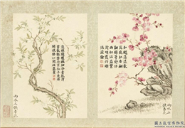 清董诰画二十四番花信风图　册　雨水三候李花,绘画,花草