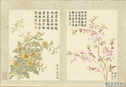 清董诰画二十四番花信风图　册　惊蛰二候棠棣,绘画,花草