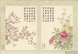 清董诰画二十四番花信风图　册　春分一候海棠,绘画,花草