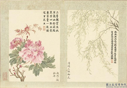 清董诰画二十四番花信风图　册　谷雨一候牡丹,绘画,花草