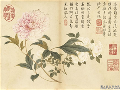 清董诰夏花十帧　册　芍药月季,绘画,花草