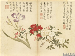 清董诰夏花十帧　册　鸢尾月季,绘画,花草