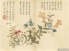 清董诰夏花十帧　册　百合石竹,绘画,花草