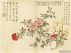 清董诰夏花十帧　册　石榴金丝桃,绘画,花草