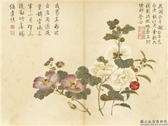 清董诰夏花十帧　册　蜀葵金钱,绘画,花草