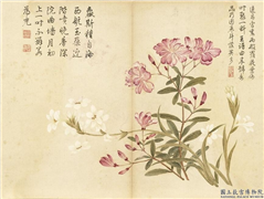 清董诰夏花十帧　册　夹竹桃晚香玉,绘画,花草