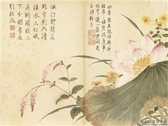 清董诰夏花十帧　册　荷花红蓼,绘画,花草