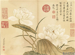 清董诰夏花十帧　册　荷花,绘画,花草