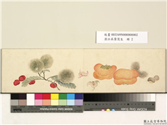 清汪承霈写生　册　画菱角等三蔬果,绘画,果蔬