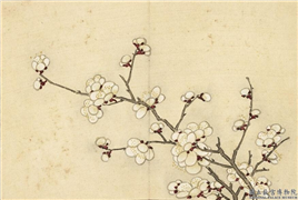 清汪承霈画四时花卉　册　梅花,绘画,花草