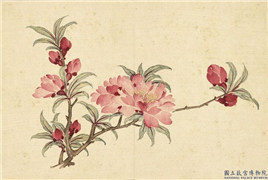 清汪承霈画四时花卉　册　碧桃,绘画,花草
