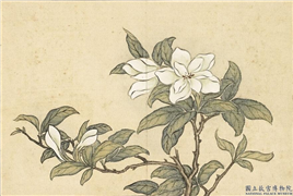 清汪承霈画四时花卉　册　栀枝,绘画,花草