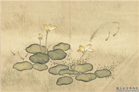 清汪承霈画四时花卉　册　花鱼,绘画,花草,水中动植物