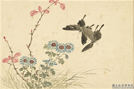 清汪承霈画四时花卉　册　菊花小蝶,绘画,花草,草虫