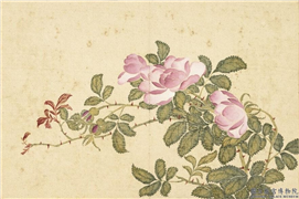 清汪承霈画四时花卉　册　月季,绘画,花草