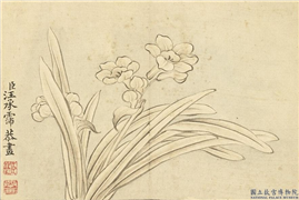 清汪承霈画四时花卉　册　水仙,绘画,花草
