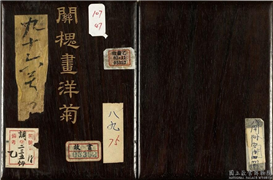 清关槐画洋菊　册,绘画,