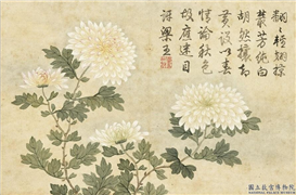 清关槐画洋菊　册　蝶翅丛,绘画,花草