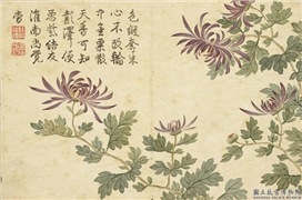 清关槐画洋菊　册　桂丛紫,绘画,花草