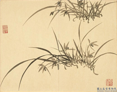 清顾皋兰竹十二幅　册　画丛兰,绘画,花草