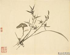 清顾皋兰竹十二幅　册　画兰竹灵芝,绘画,花草,树木