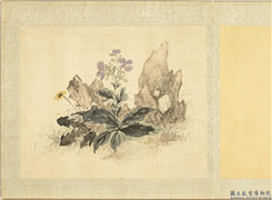 清黄钺画群蕤藻夏　册　画草花奇石,绘画,山水,花草
