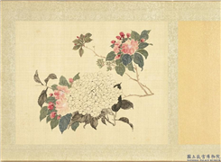 清黄钺画群蕤藻夏　册　画绣球海棠,绘画,花草