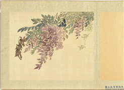 清黄钺画群蕤藻夏　册　画紫藤,绘画,花草