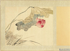 清黄钺画群蕤藻夏　册　画荷芦,绘画,花草